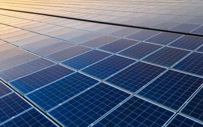 How to Start a Solar Farm: The Ultimate Guide